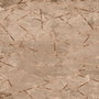 Conceptum Alfombra para Pasillo Multicolor 80 x 300 cm